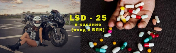 стафф Нефтекумск